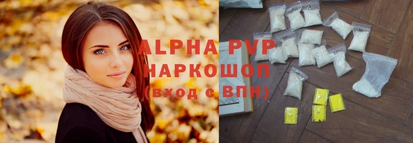 стафф Кодинск