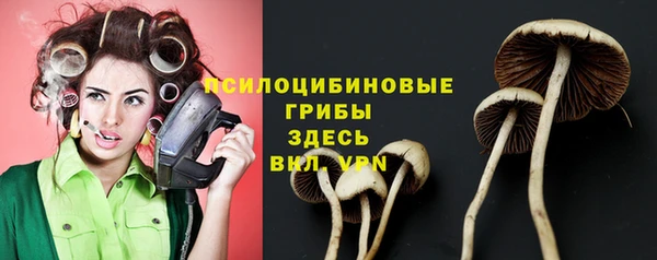экстази Козловка