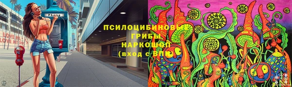 2c-b Козельск