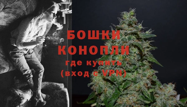 стафф Кодинск
