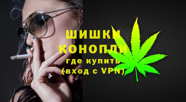 2c-b Козельск