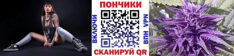 Каннабис ГИДРОПОН  Купить где  Северодвинск 